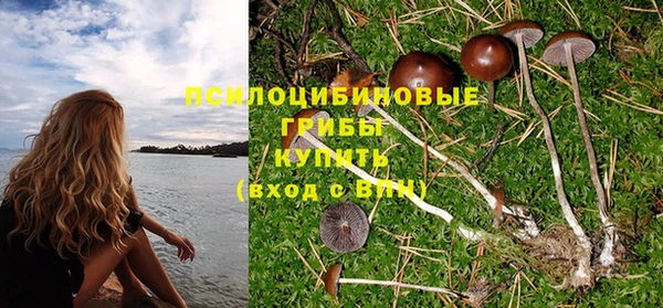 MESCALINE Бородино